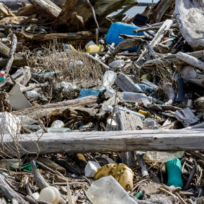 Environmental destruction