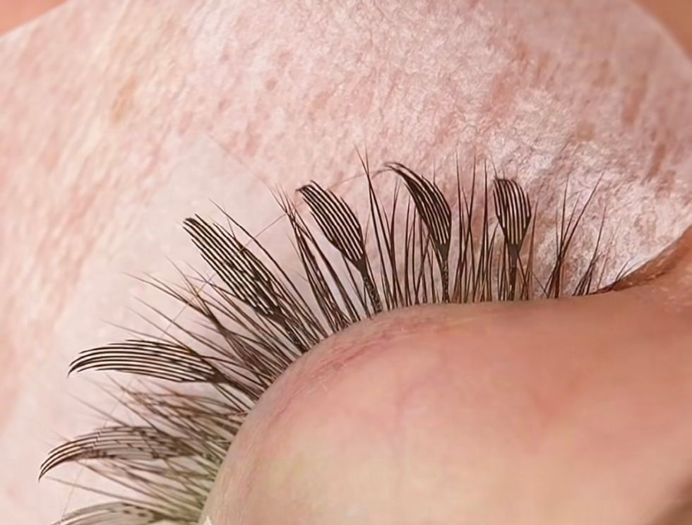 Miniature : Angle Wings Pro-made lashes XL Trey 