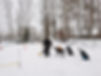 IMG-20210216-WA0006.jpg
