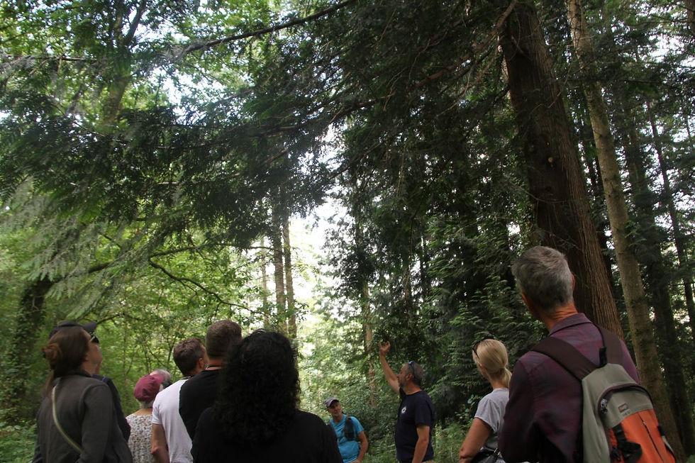 Coed a choedtiroedd y Biosffer, dewch ynghyd!