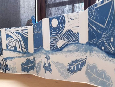 CELF: a story of the Dyfi