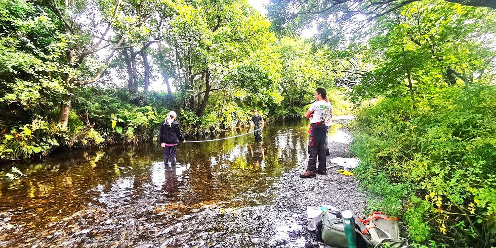 Heddwch a natur: adeiladu rhwydwaith UNESCO yng Nghymru