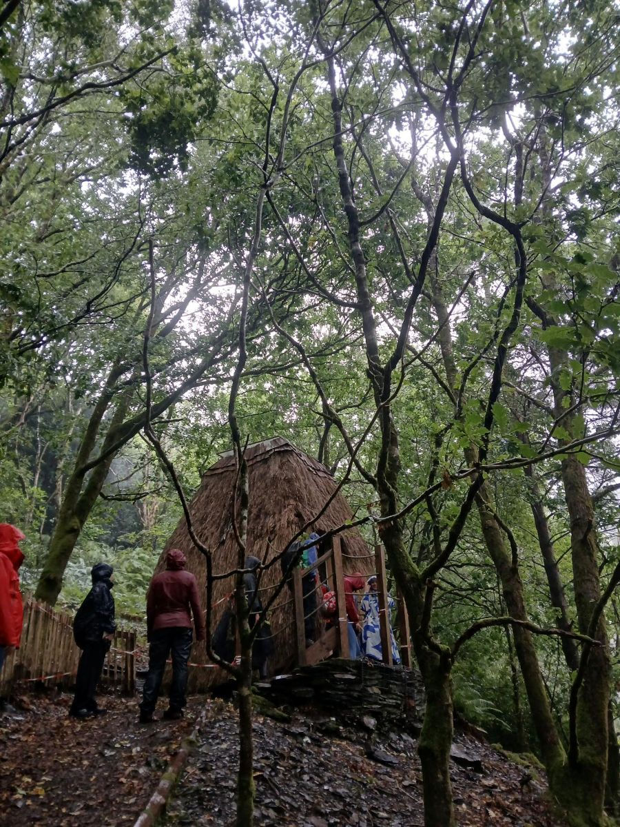 Esgyniad fforest law wlyb ar safle CyDA