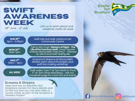 It's National Swift Awareness Week!