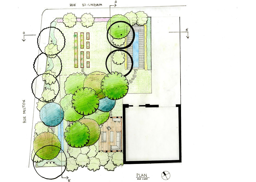 PLAN