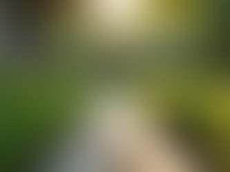 The Art of Mindful Living