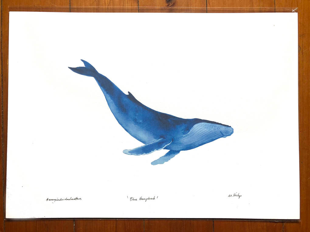 Blue Humpback