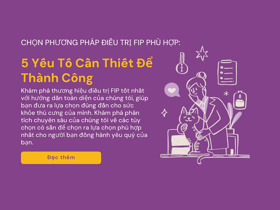 5 Yếu Tố Trị FIP Then Chốt Để Thành Công