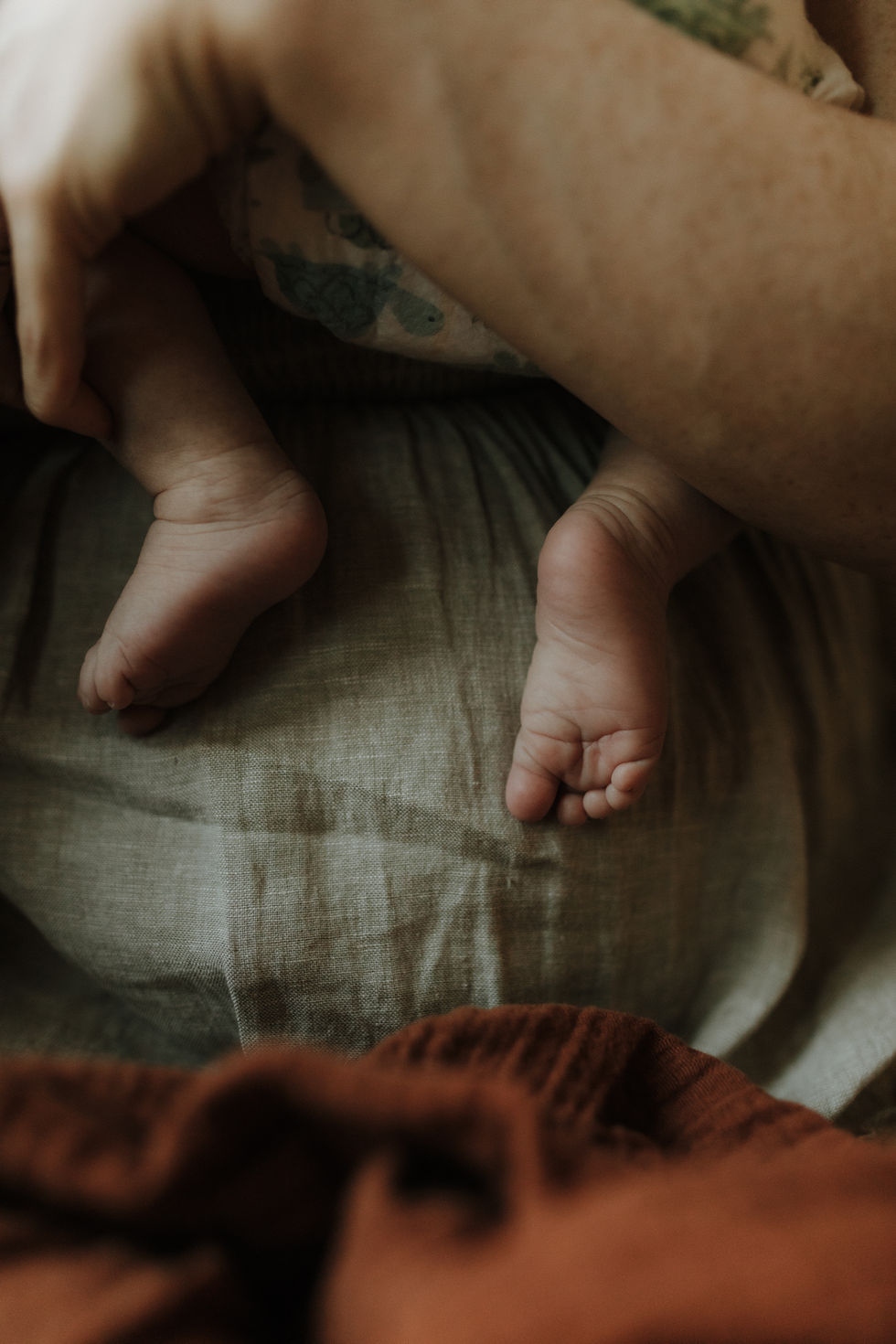 portland newborn photographer captures newborn baby's feet
