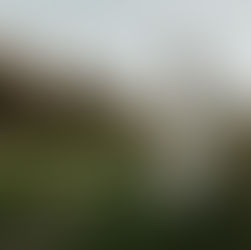 daughter touches mama's pregnant belly in portland, oregon during a maternity photography shoot