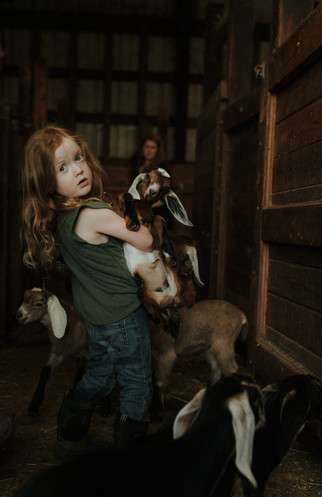 sandy oregon goat farm family photographer