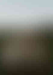 siblings share secrets while holding lanterns during a family photography session near Portland