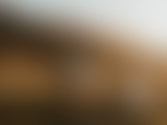 Family dancing in the Columbia River Gorge near Portland, Oregon