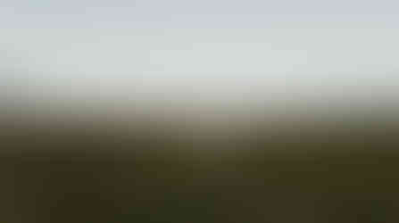 siblings hold lanterns and walk on nature trail in troutdale, oregon