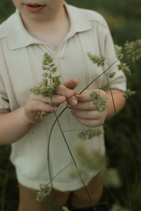 grass
