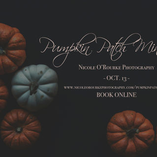 Pumpkin Patch Minis!