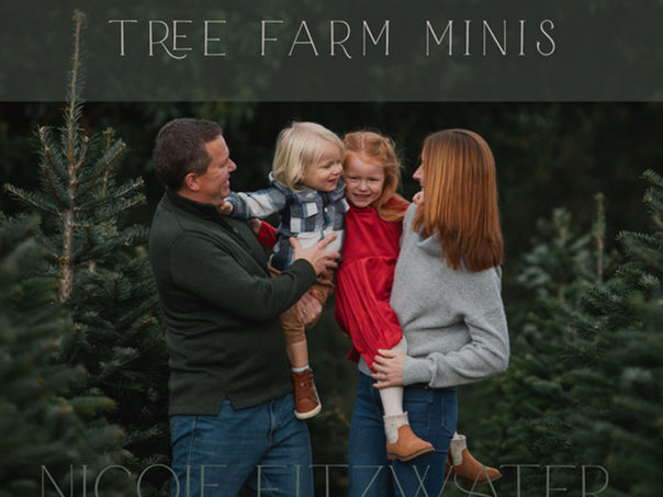 Tree Farm Minis 2025!