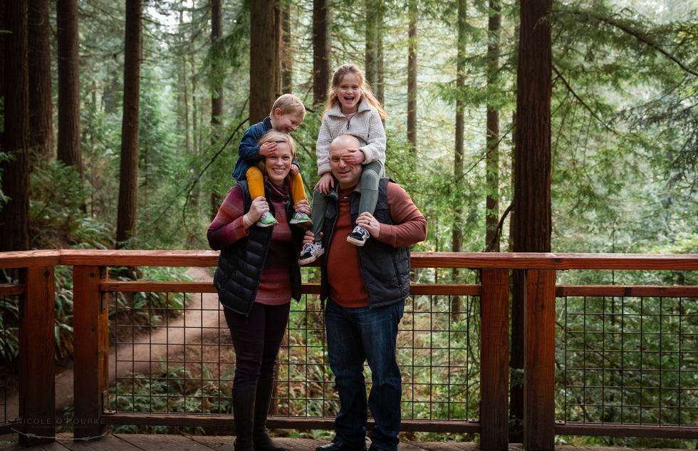 Oregon Redwoods Winter Shoot