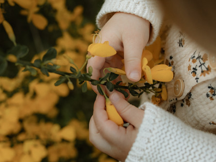 baby holds flowers
