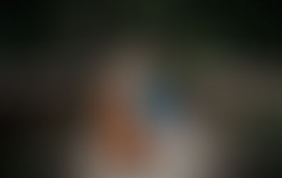 Explore the Forest Session