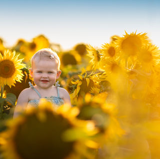 Summer Sunflower Session Near Portland Oregon