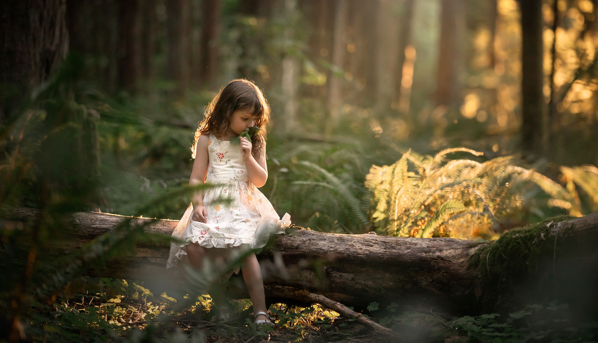 Nicole Fitzwater; Nicole Fitzwater Photography; Portland family photographer;  Nicole Knotts; Portland family photographer; Eastern Oregon photographer; Portland Oregon child photographer; Salem Oregon family photographer; Oregon City photographer; Sandy Oregon wedding photographer; Sandy Oregon family photographer; 