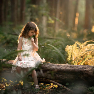 Into the Forest I Go Photos