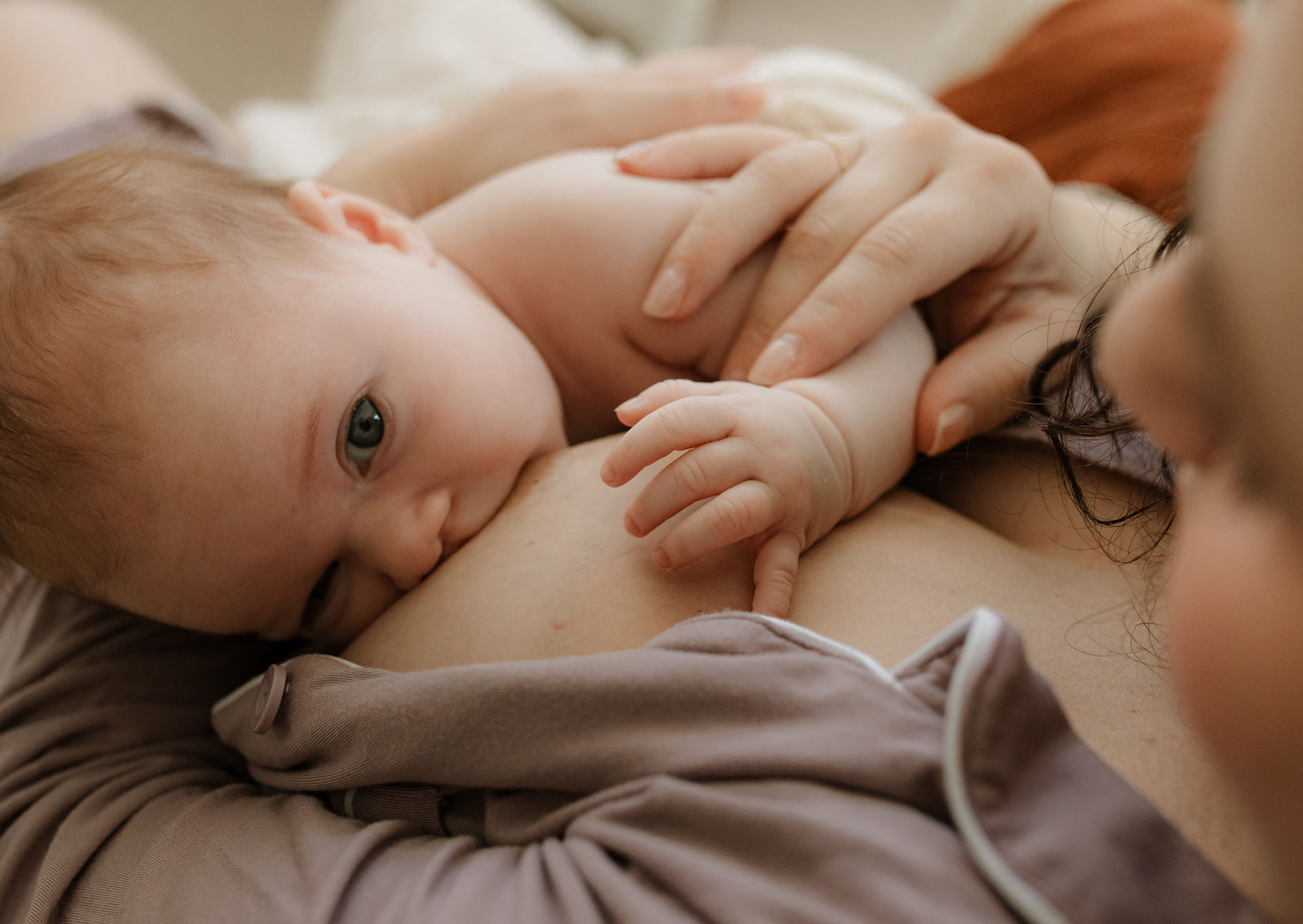 a newborn breastfeeds while looking up at the camera