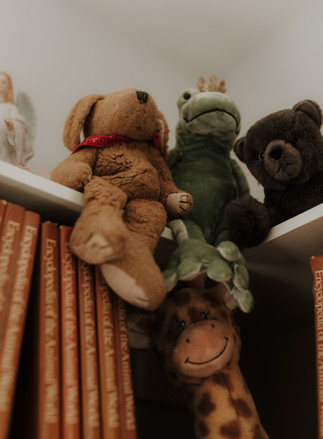 stuffed animals sit on a bookshelf in a baby's nursery
