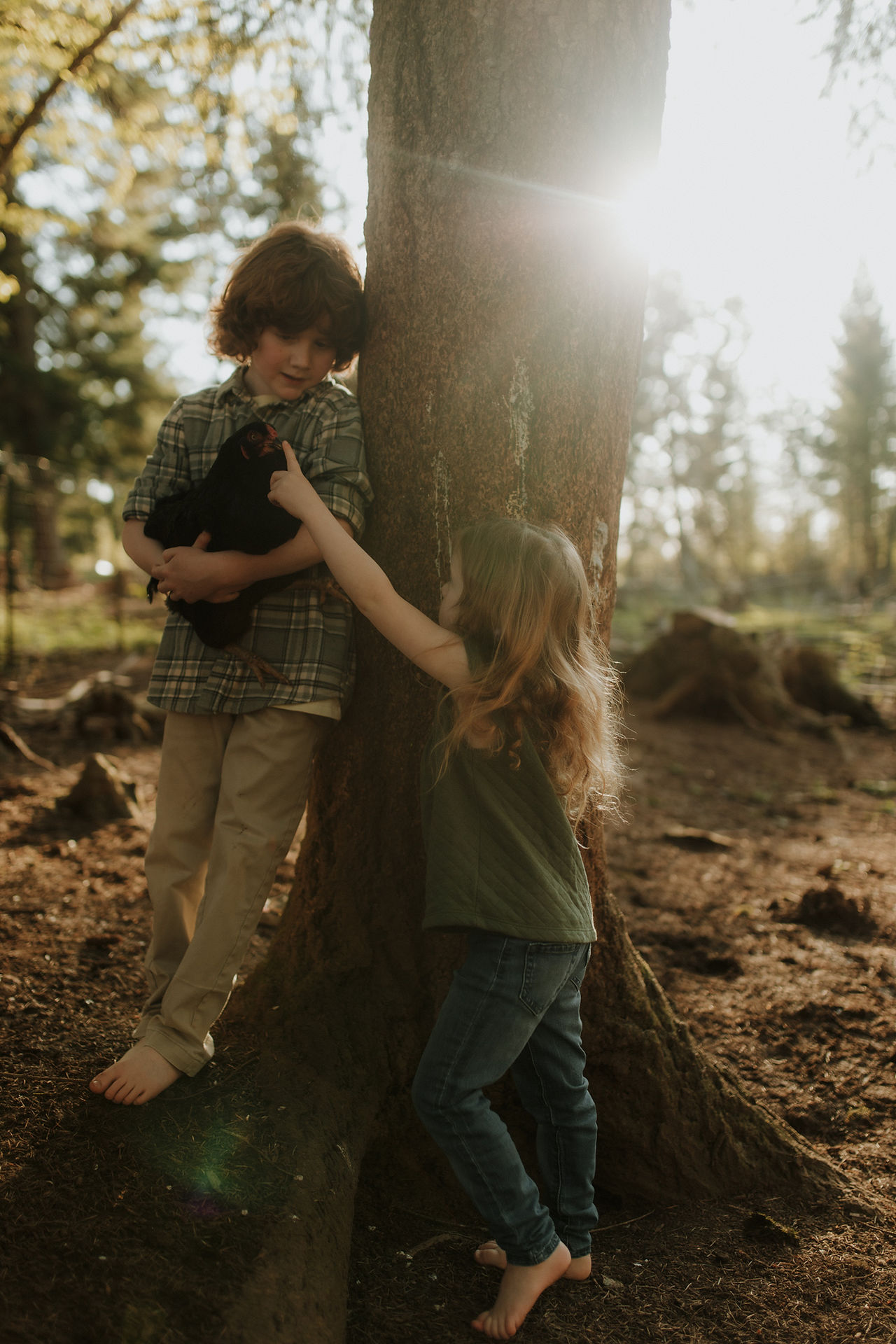 children play with chicken at sunset during a sandy Oregon farm photography session