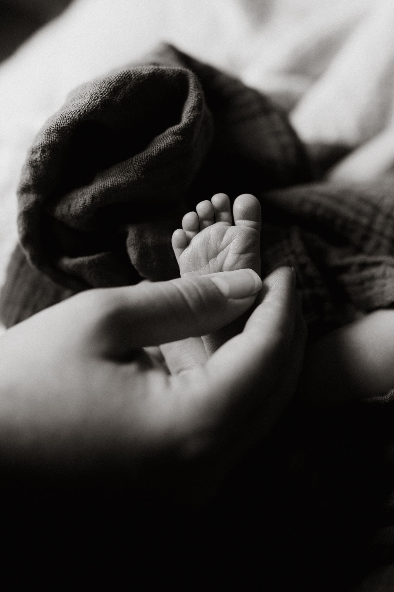 newborn toes
