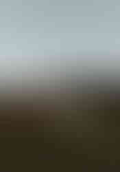 family hangs out on wooden fence