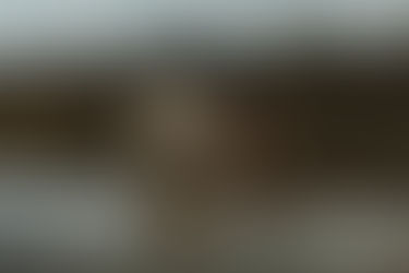 A Cold March day in Portland | Family Photography Session