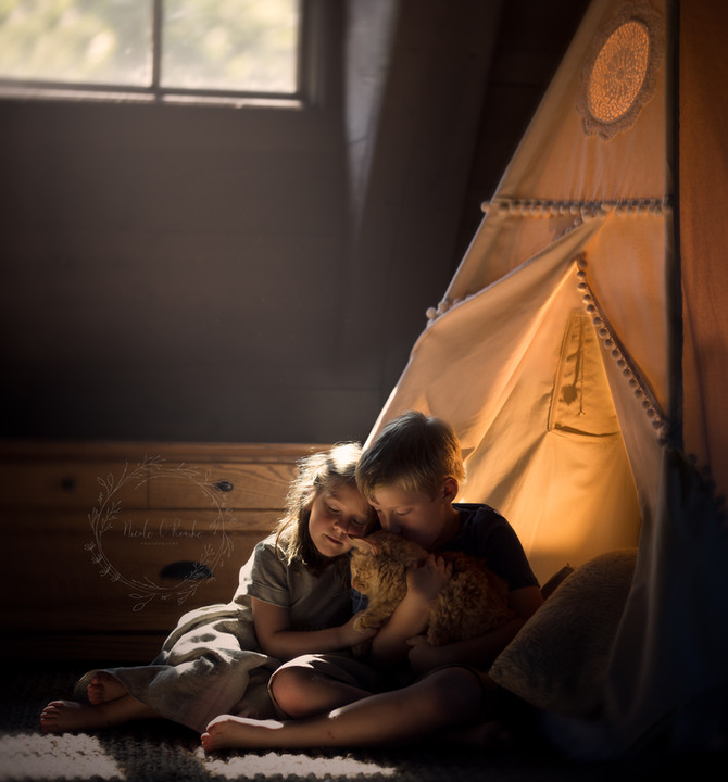 Treehouse Adventures