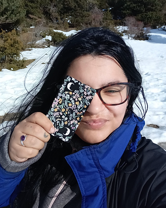 Captura de pantalla 2025-07-02 a las 11.35.52.png