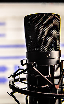 Microphone Sound Editing