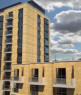 Halkins Estate Coyeagle.webp