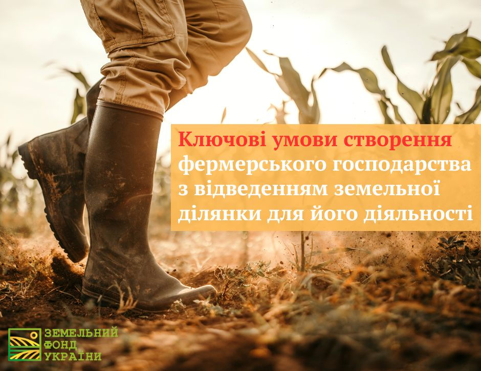 Ключові умови створення фермерського господарства