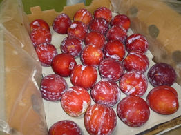 Prunes plums.JPG