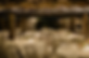 Screenshot 2024-09-24 at 15.07.51.png