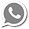 whatscinza.png