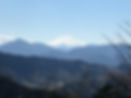 IMG_3402.jpeg