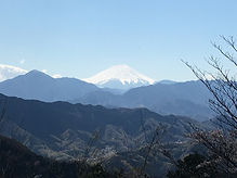 IMG_3402.jpeg
