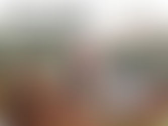 Twinkle Agency al fianco dei successi di Riccardo Cotarella