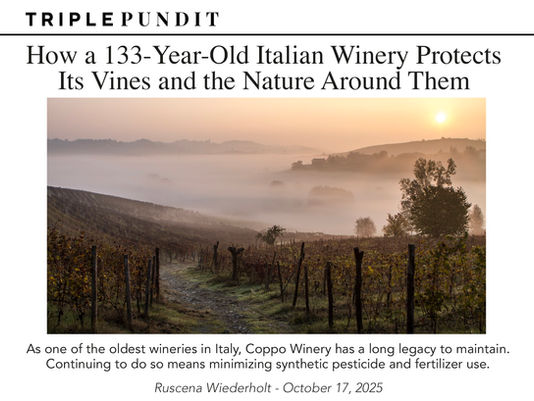 Coppo Winery: 133 anni di storia e un’anima sostenibile. Dal cuore del Piemonte, un modello di viticoltura consapevole che unisce tradizione e innovazione.