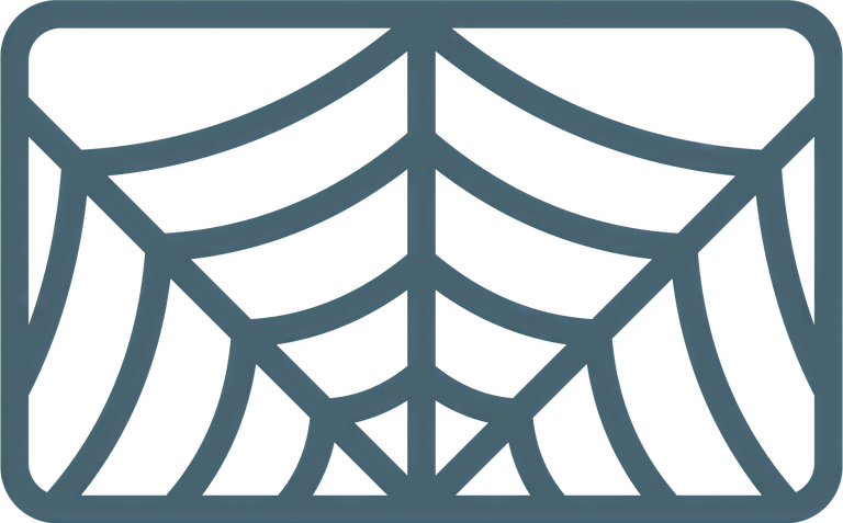 logo Fundación Araña Plateada ok_edited_edited_edited.png