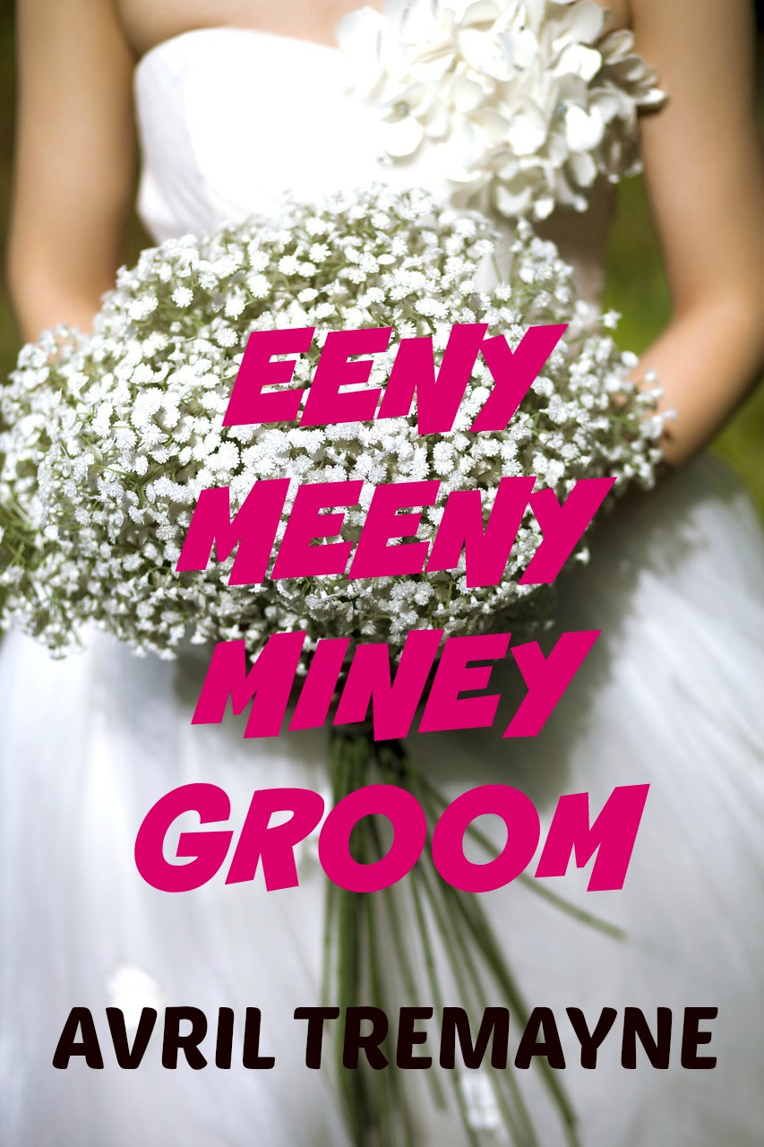 My NaNoWriMo project book cover