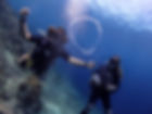 Fun Dive 2.jpeg