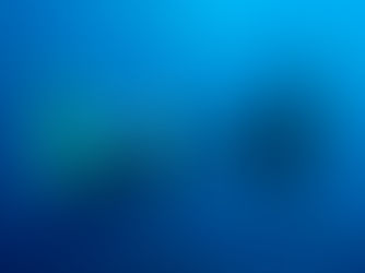 Nusa Lembongan Marine Life & Lembongan's Best Dive Sites