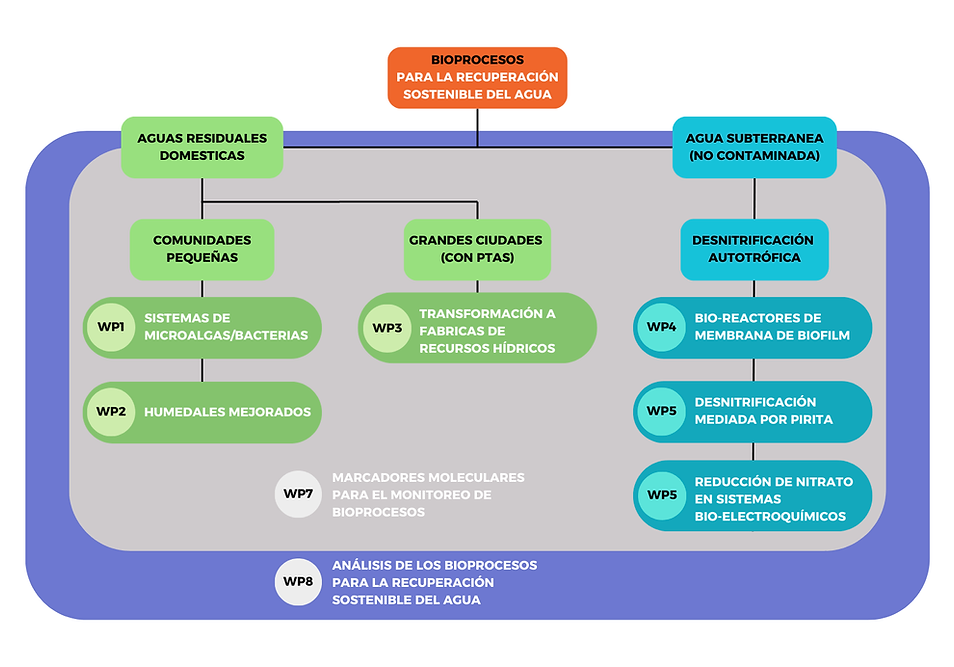 BIOPROCESSES FOR A SUSTAINABLE WATER RECLAMATION (2).png